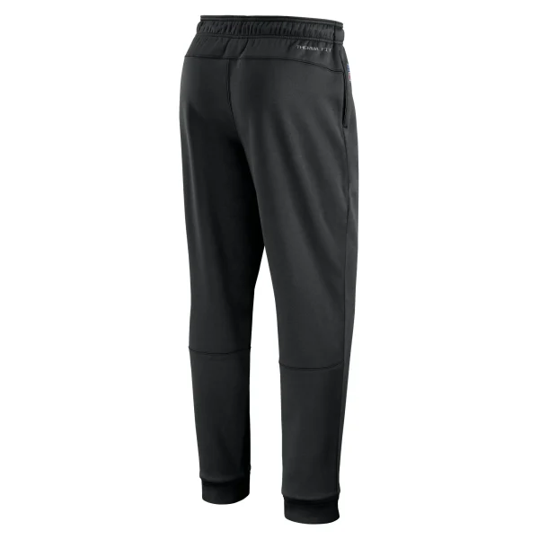 Men’s Nike Black Minnesota Vikings Sideline Logo Performance Pants 4