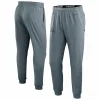 Men’s Nike Heather Gray Minnesota Vikings Sideline Pop Player Performance Lounge Pants 11